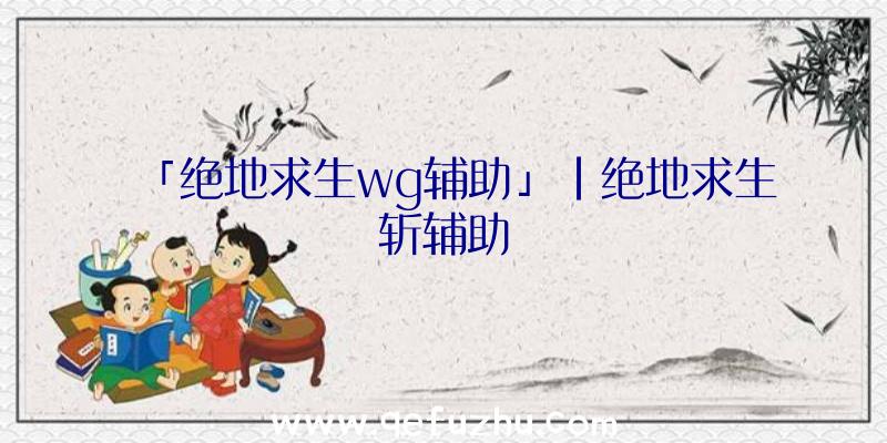 「绝地求生wg辅助」|绝地求生斩辅助